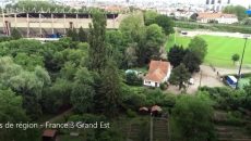 espace vert