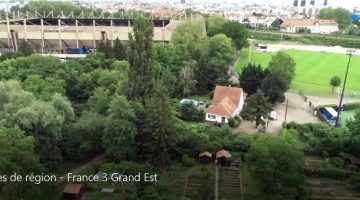 espace vert
